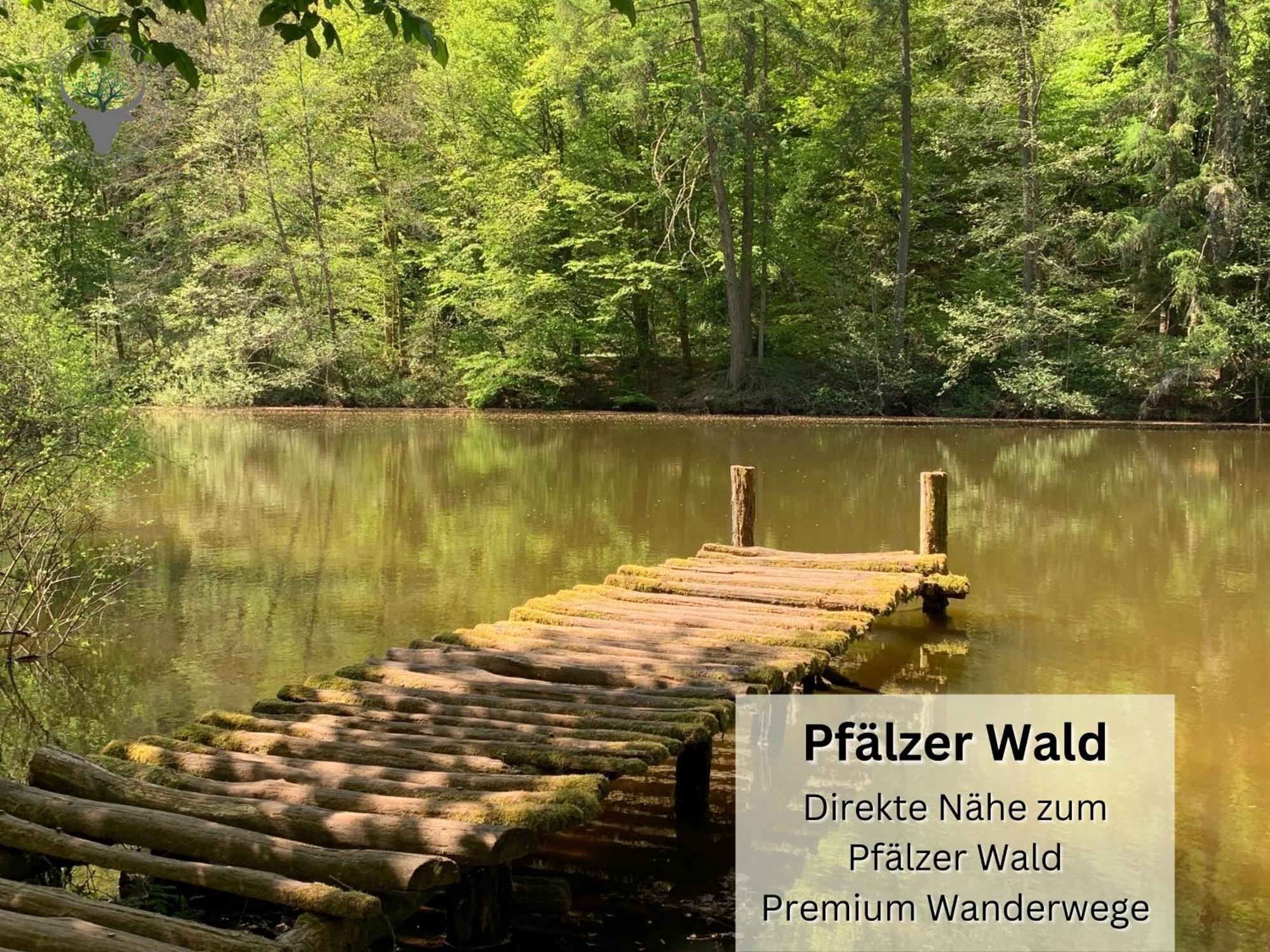 Schuhpartment Am Pfaelzer Wald Naehe Outlet Center Zweibruecken Lägenhet Pirmasens Exteriör bild